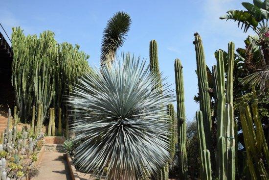 Giardino Esotico Pallanca